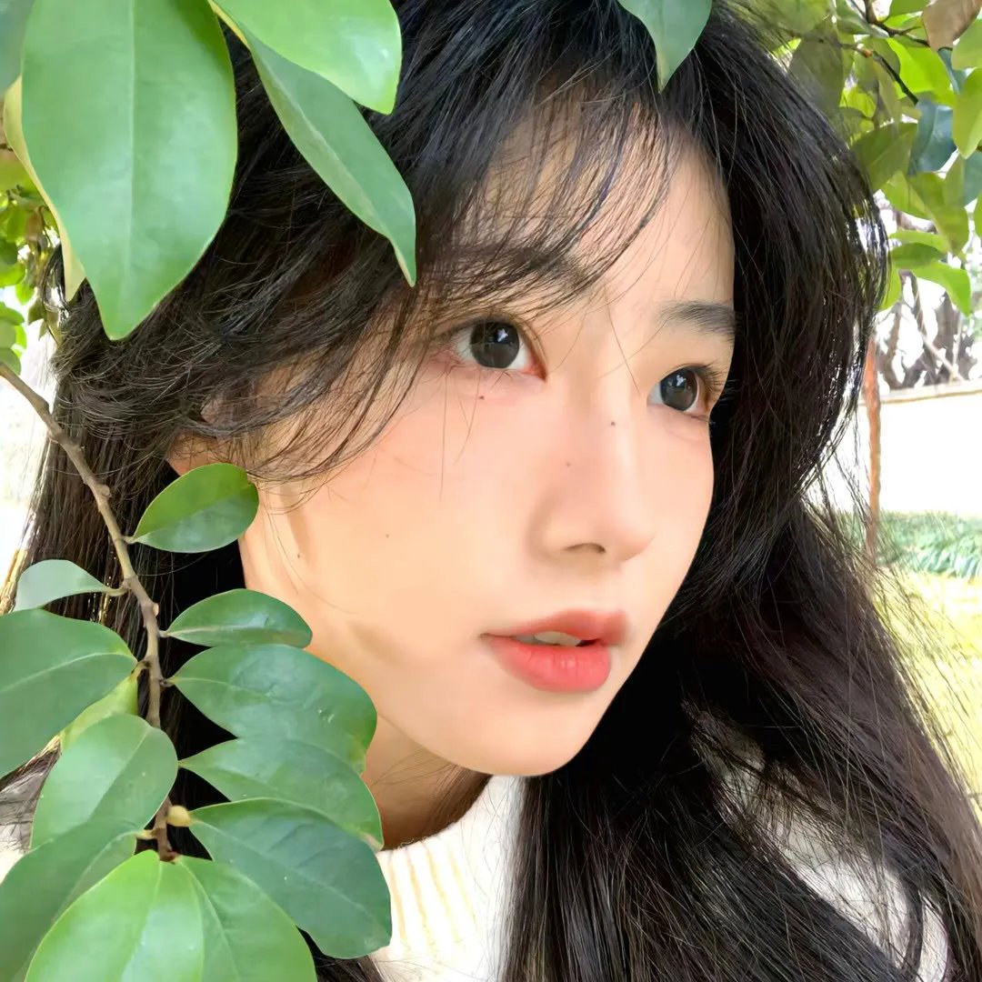 练恋舞